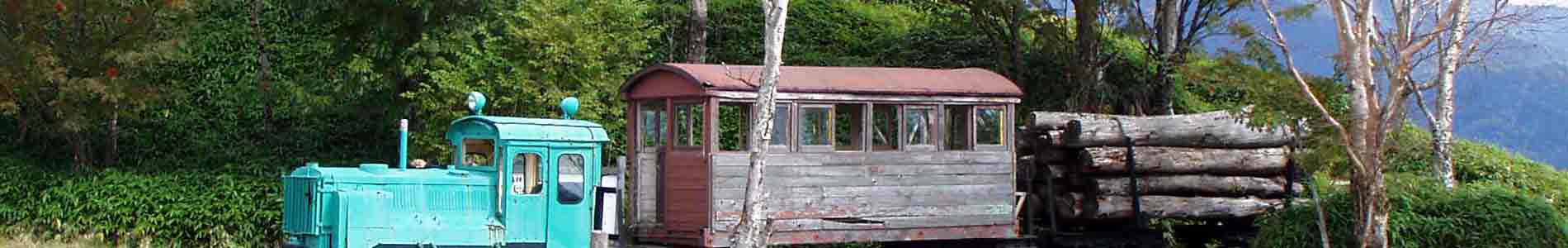 Forest railway locomotive and wooden carriage